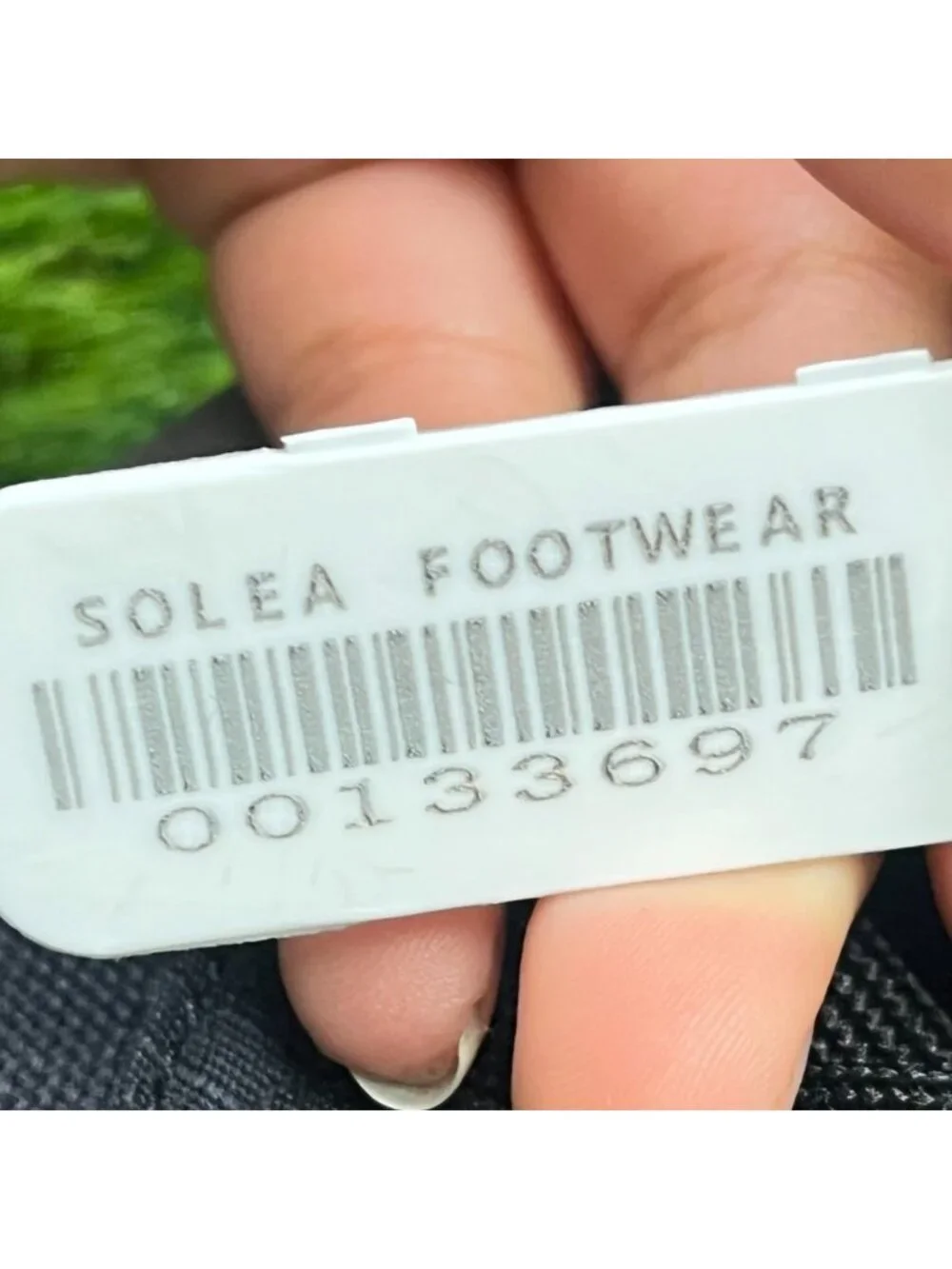 allbirds please review